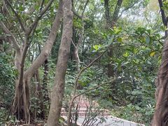 -广州市白云山风景名胜区