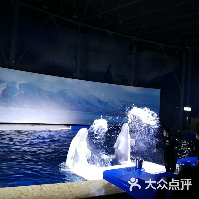 上海长风海洋世界图片-北京海洋馆-大众点评网