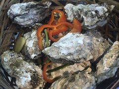 -农家霸王地锅鸡(国顺东路店)