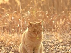 -野鸭湖国家湿地公园