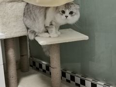 -爱侣宠医·鹦鹉专科·小型哺乳类·异宠专科(灵石路店)