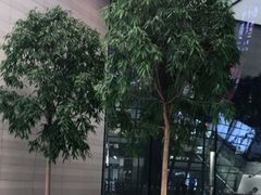-Apple零售店(济南恒隆广场店)