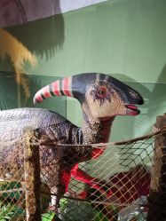 -恐龙探索乐园(磁器口店)