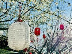 -春风习习