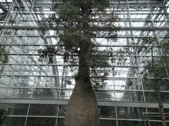 -南山植物园