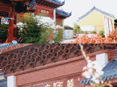 -莲花岛景区
