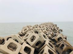 -东疆建设开发纪念公园