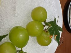 -觀芷隐轩