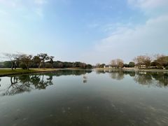 -上海佘山世茂艾美酒店
