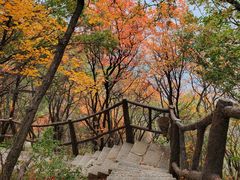 -秦岭终南山世界地质公园翠华山景区