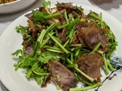 -全乐鱼馆·淳牌有机鱼直营店