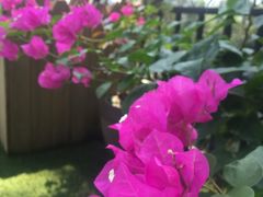 -小岛98(小岛酒吧)