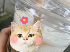 -星巴克(新达汇三林店)