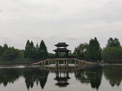 -洋湖国家湿地公园