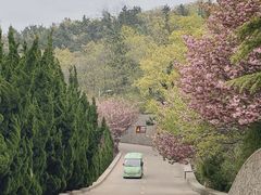 -石岛赤山风景区