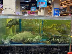 -东江海鲜酒家(艺都分店)