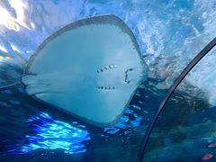 -泉城欧乐堡海洋极地世界