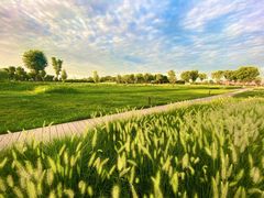 -汉长安城未央宫国家考古遗址公园