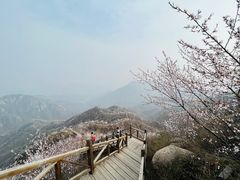 -大岭沟猕猴桃谷风景区