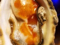 -囧吉香生蚝牛排馆(湖北路店)