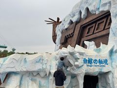 -秦皇岛乐岛海洋王国