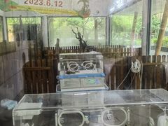 -宁波野生动物园
