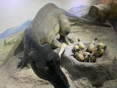 -国家自然博物馆