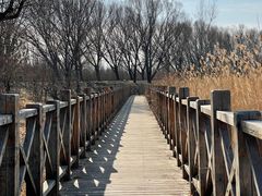 -野鸭湖国家湿地公园