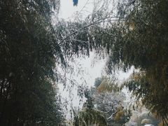 -孙武文化园-停车场