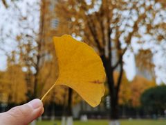 -重庆市江北嘴中央商务区中央公园