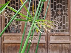 -三峡古玩城(泰古广场店)