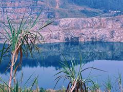 -黄埔油麻山森林公园