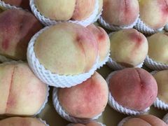 -老袁家蜜桃农场·阳山水蜜桃