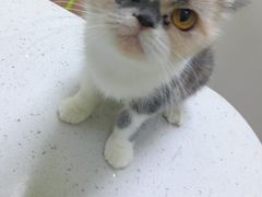 -瑞鹏宠物医院