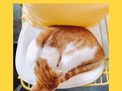 -五进制 Coffee Shop