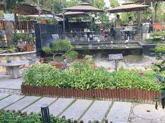 -蘇河湾·新鲁菜·泰山宴(泰山店)