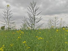 -中国天府农业博览园