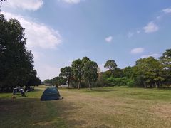 -梁鸿国家湿地公园