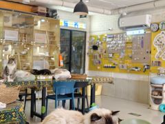 -平行世界·猫咖(首经贸店)