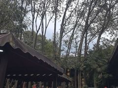 -土砂锅生态山庄·非遗砂锅雅鱼