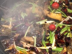 -老板恋上鱼(恒隆广场店)