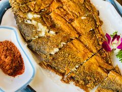 -西塔大冷面(市府大路店)