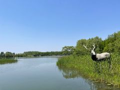 -溱湖国家湿地公园