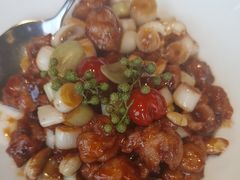 -羲和雅苑•北京烤鸭(平安国际金融中心店)