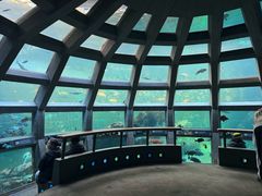 -西雅图水族馆