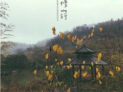 -咸宁太乙国际温泉度假村