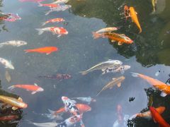 -兰溪地下长河