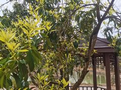 -武汉紫薇都市田园