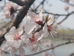 -颐和园