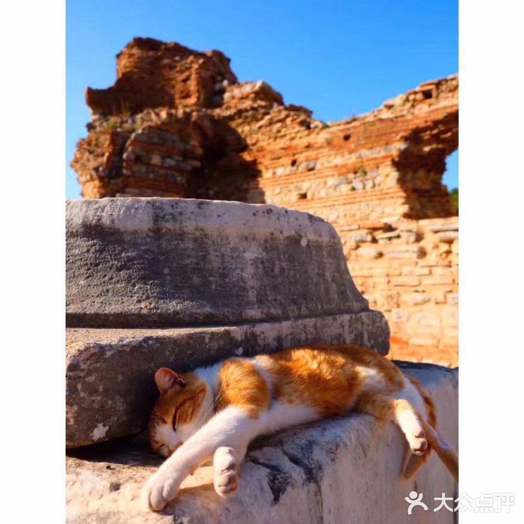 以弗所大剧院